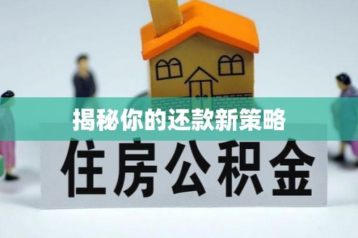泉州揭秘你的还款新策略
