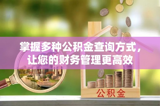 泉州掌握多种公积金查询方式，让您的财务管理更高效
