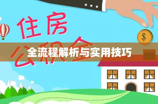 泉州全流程解析与实用技巧