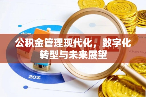 泉州公积金管理现代化，数字化转型与未来展望