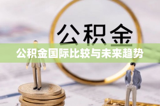 泉州公积金国际比较与未来趋势