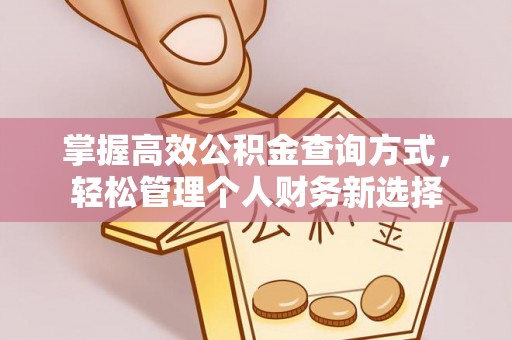 泉州掌握高效公积金查询方式，轻松管理个人财务新选择