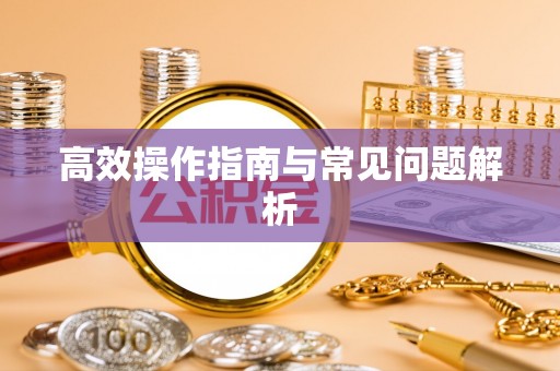 泉州高效操作指南与常见问题解析