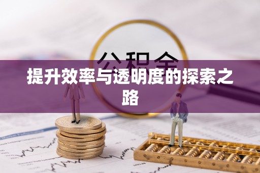 泉州提升效率与透明度的探索之路