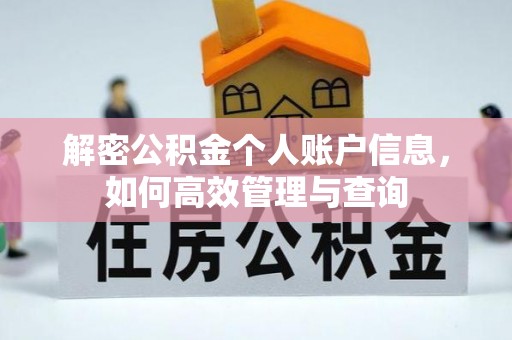 泉州解密公积金个人账户信息，如何高效管理与查询