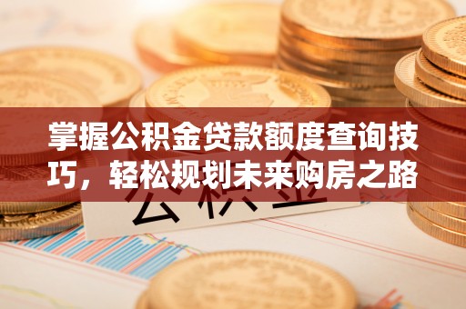 泉州掌握公积金贷款额度查询技巧，轻松规划未来购房之路