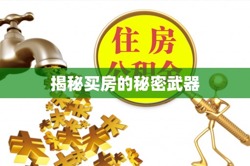 泉州揭秘买房的秘密武器