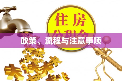 泉州政策、流程与注意事项