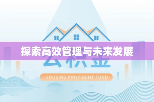 泉州探索高效管理与未来发展