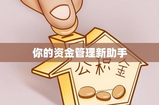 泉州你的资金管理新助手