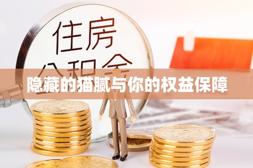 泉州隐藏的猫腻与你的权益保障