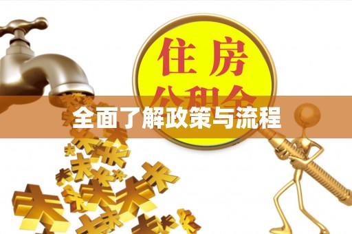 泉州全面了解政策与流程