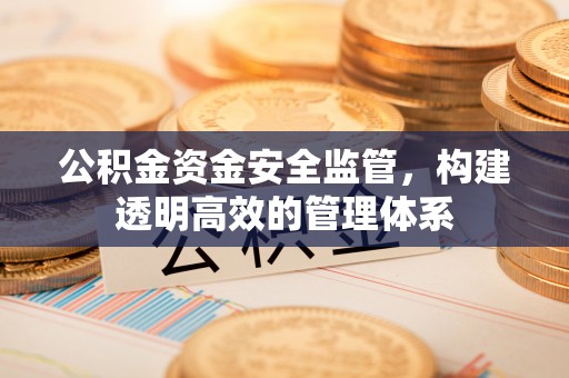 泉州公积金资金安全监管，构建透明高效的管理体系