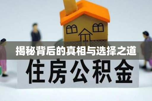 泉州揭秘背后的真相与选择之道