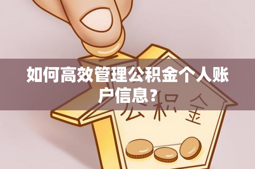泉州如何高效管理公积金个人账户信息？
