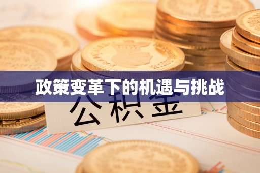 泉州政策变革下的机遇与挑战