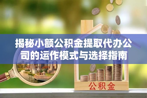 泉州揭秘小额公积金提取代办公司的运作模式与选择指南