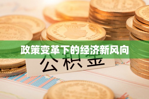 泉州政策变革下的经济新风向
